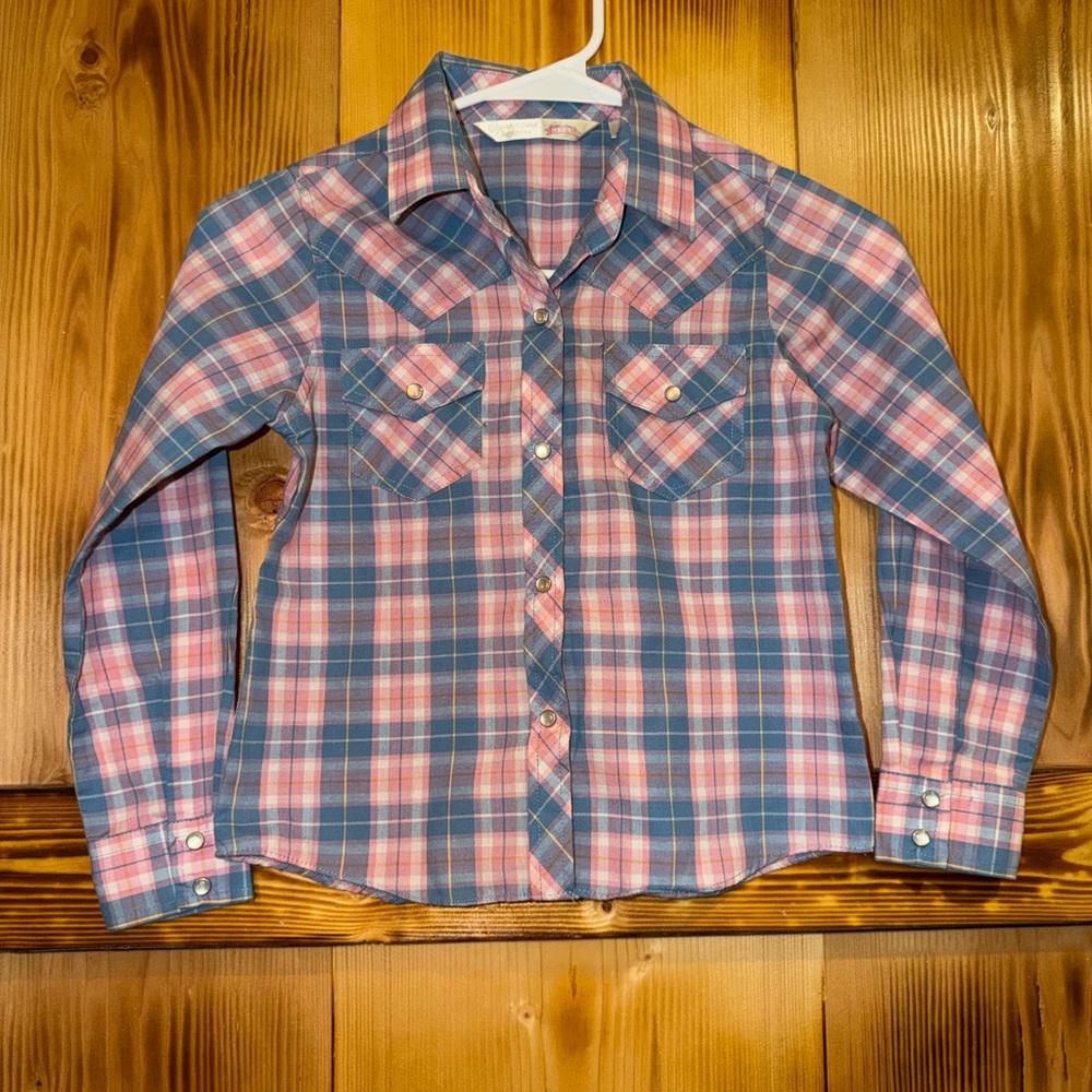 Plaid Button-Up Shirt in Blue and Pink